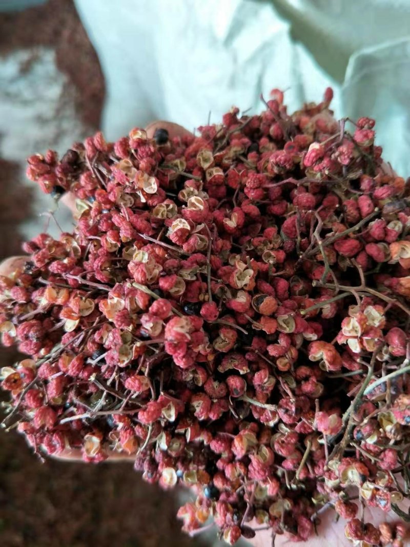 【精品】大红袍花椒毛椒，三级颗粒大，味道又麻又香。