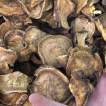 中药材马蹄大黄货好货保证正品