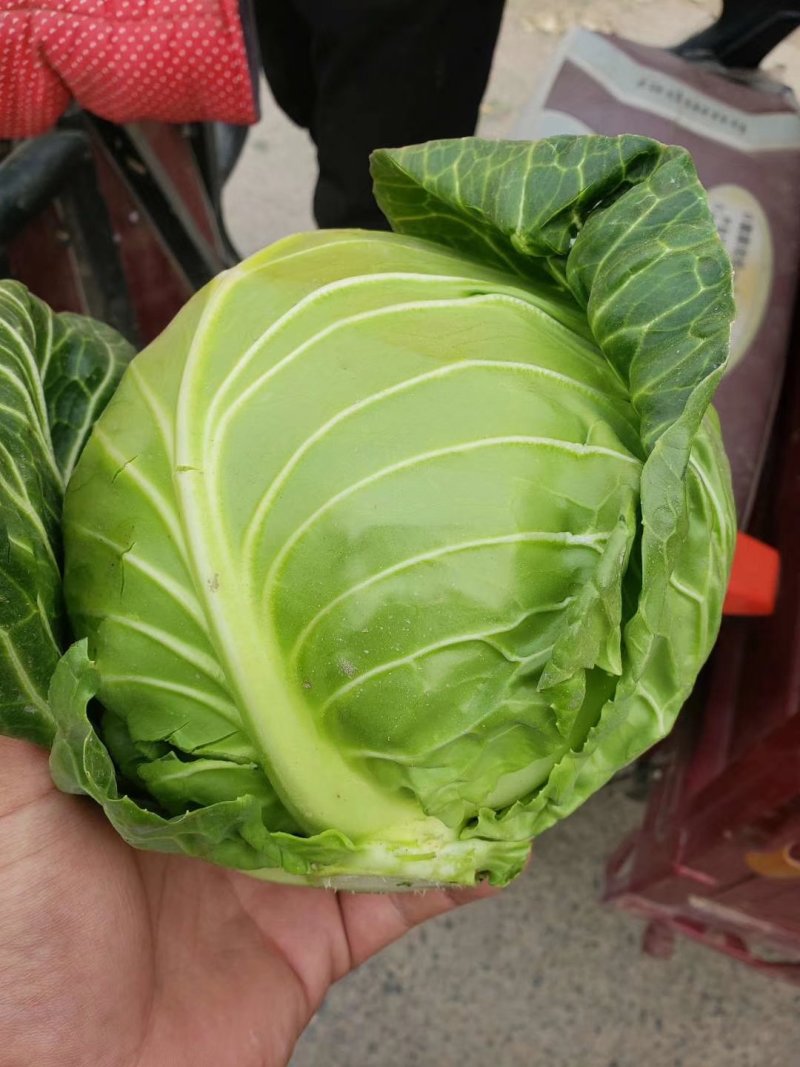 西兰花