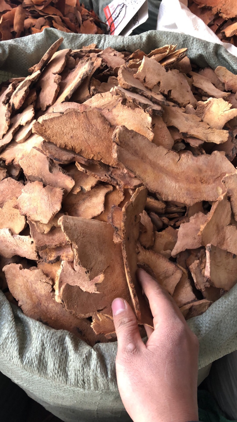土伏苓粉质货好无硫黄各种规格