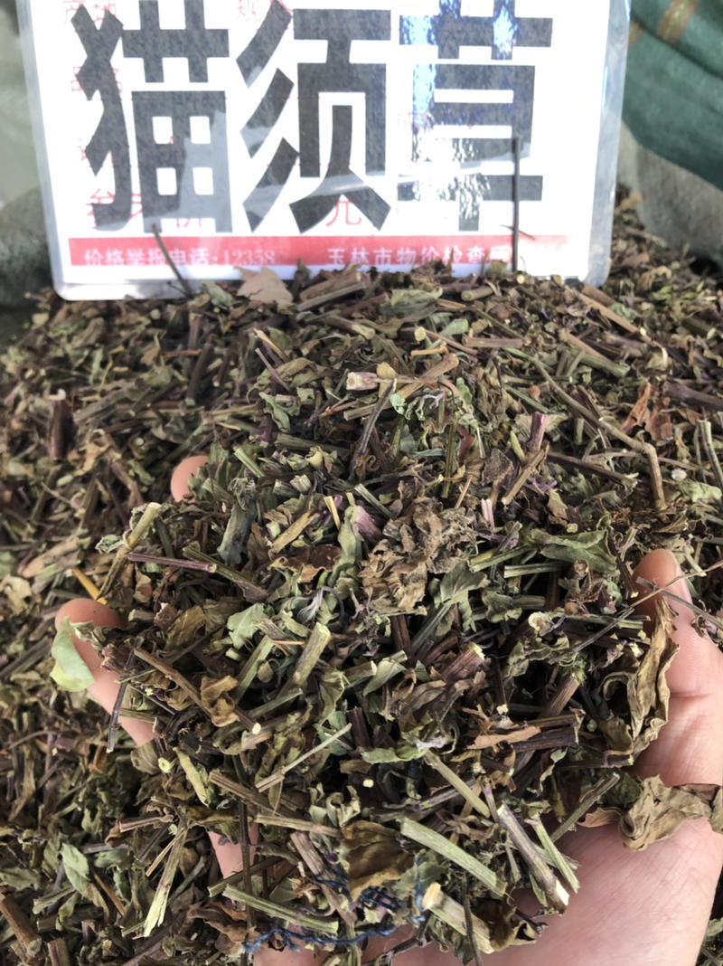 猫须草肾茶今年新货青绿