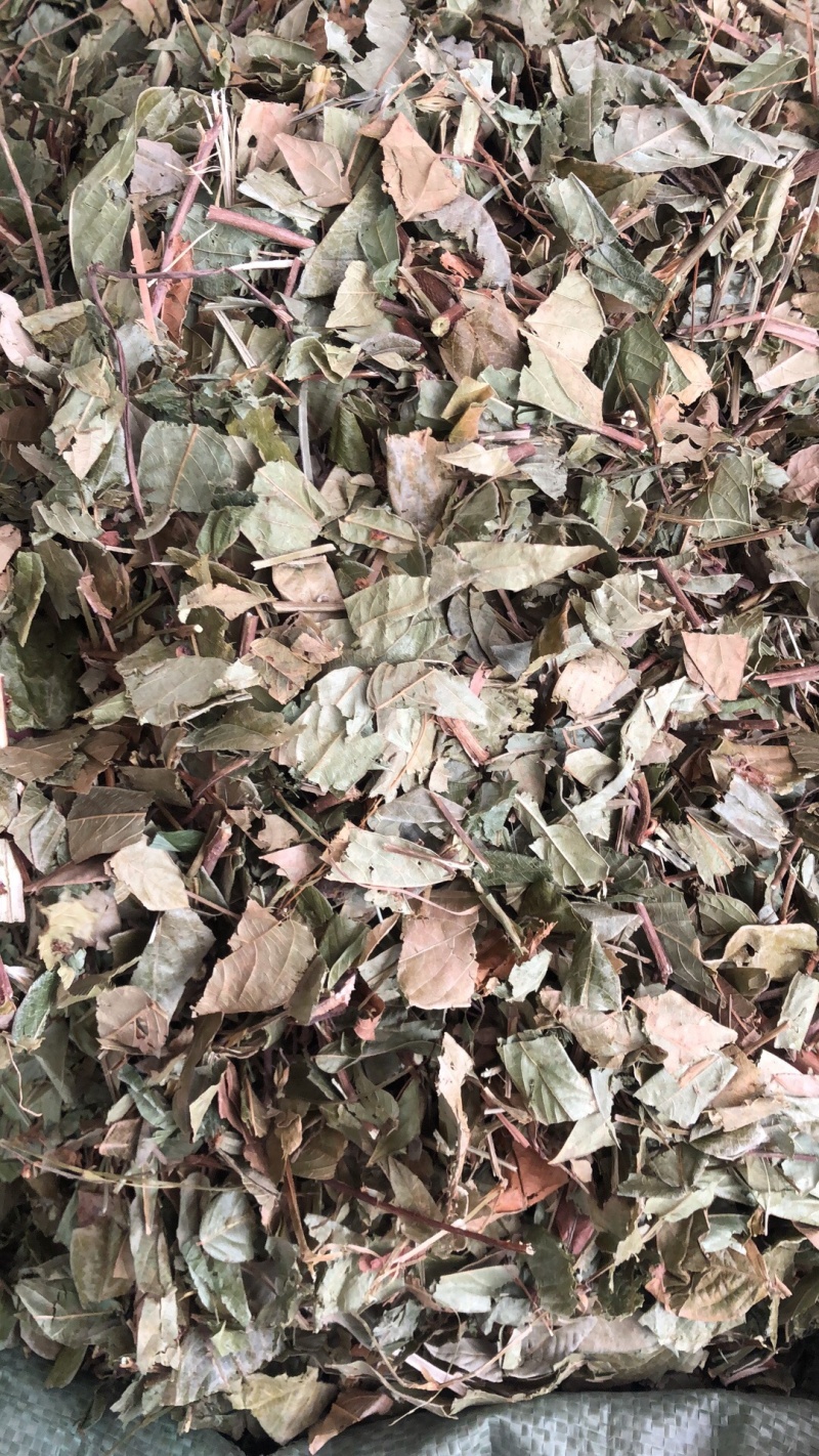 今年新货葫芦茶物美价廉好货