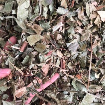 今年新货葫芦茶物美价廉好货