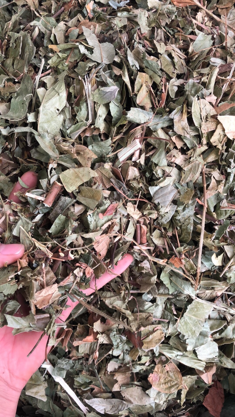 今年新货葫芦茶物美价廉好货