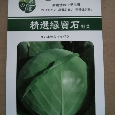 绿宝石甘蓝种子进口高产卷心菜包菜大头菜深绿圆白菜