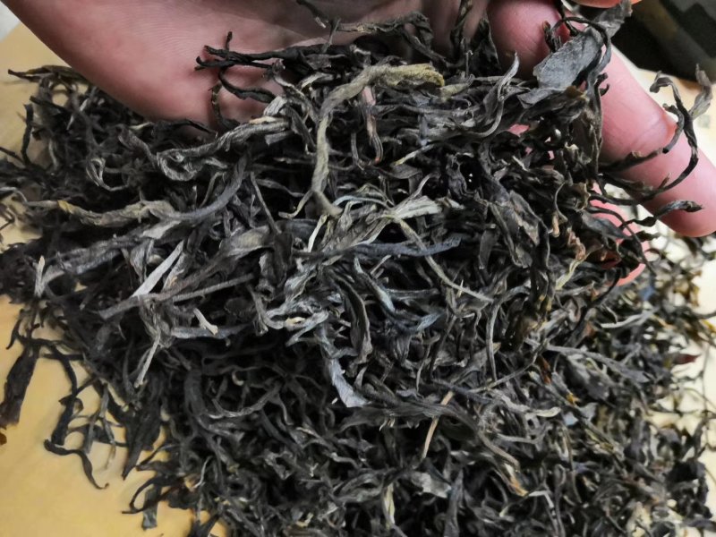 云南普洱茶