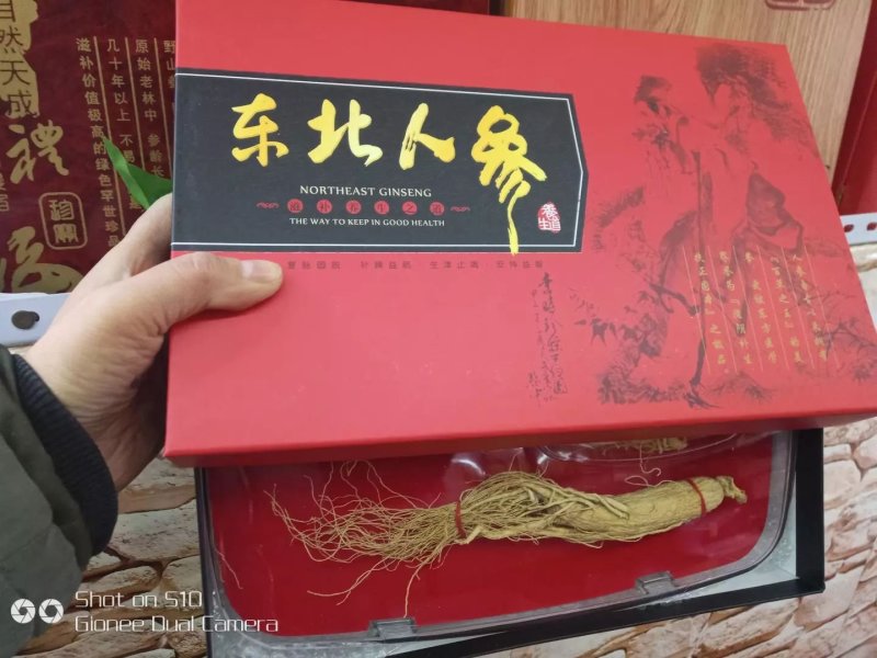 东北人参精装礼盒2支装产地直供包邮