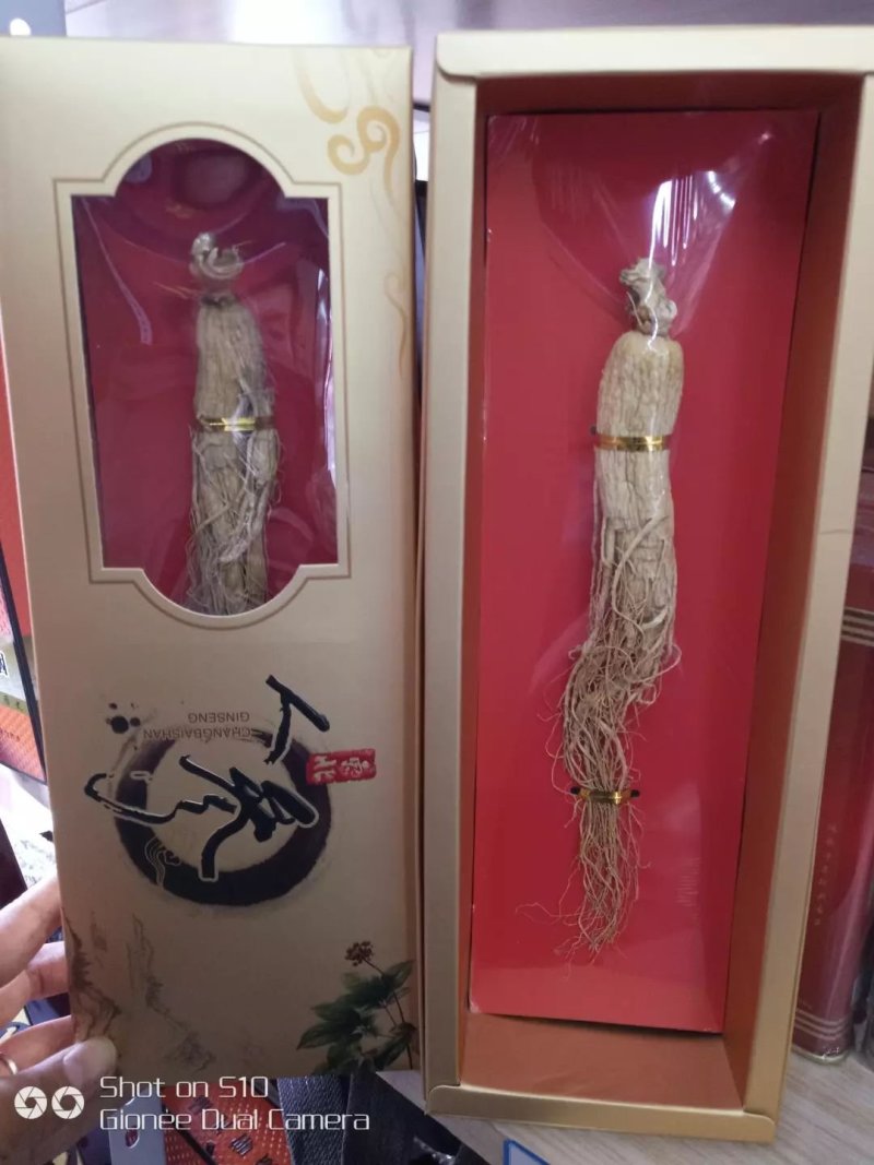 东北人参精装礼盒2支装产地直供包邮