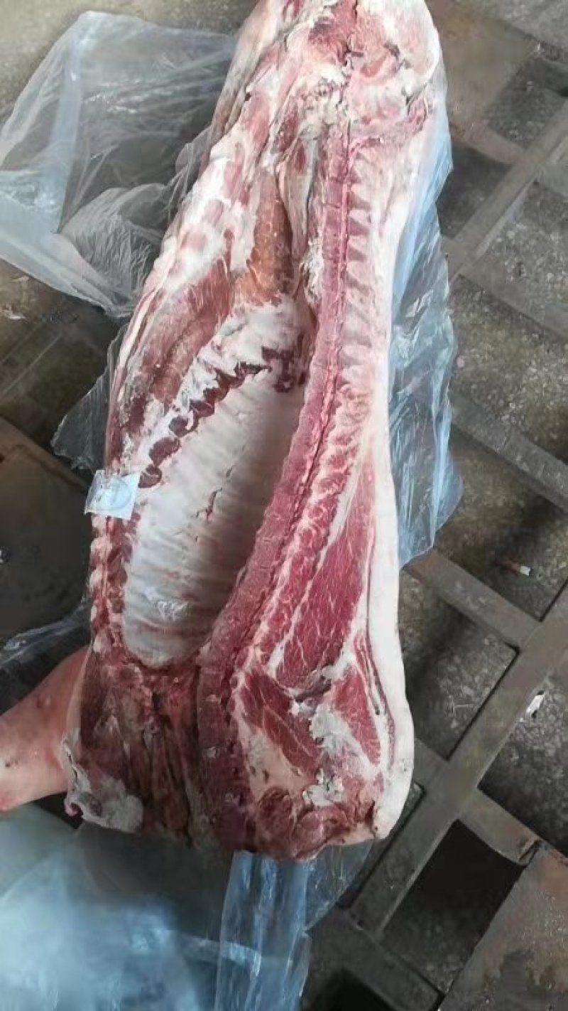 双汇冻白条，肥猪冻白条，质量好