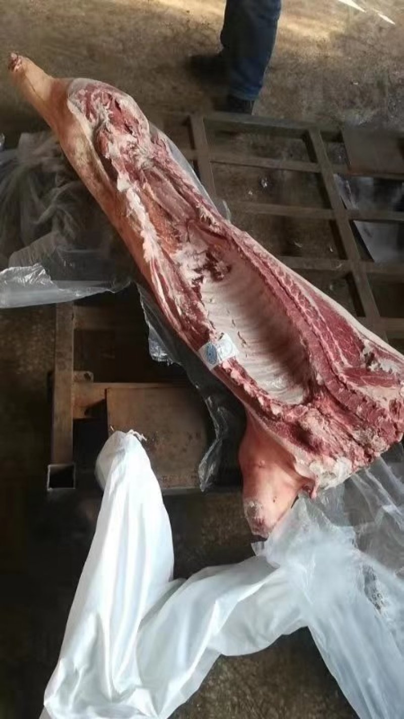 双汇冻白条，肥猪冻白条，质量好