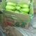 辽宁海城灯泡绿茄子产地直发！大量供应！保质保量！