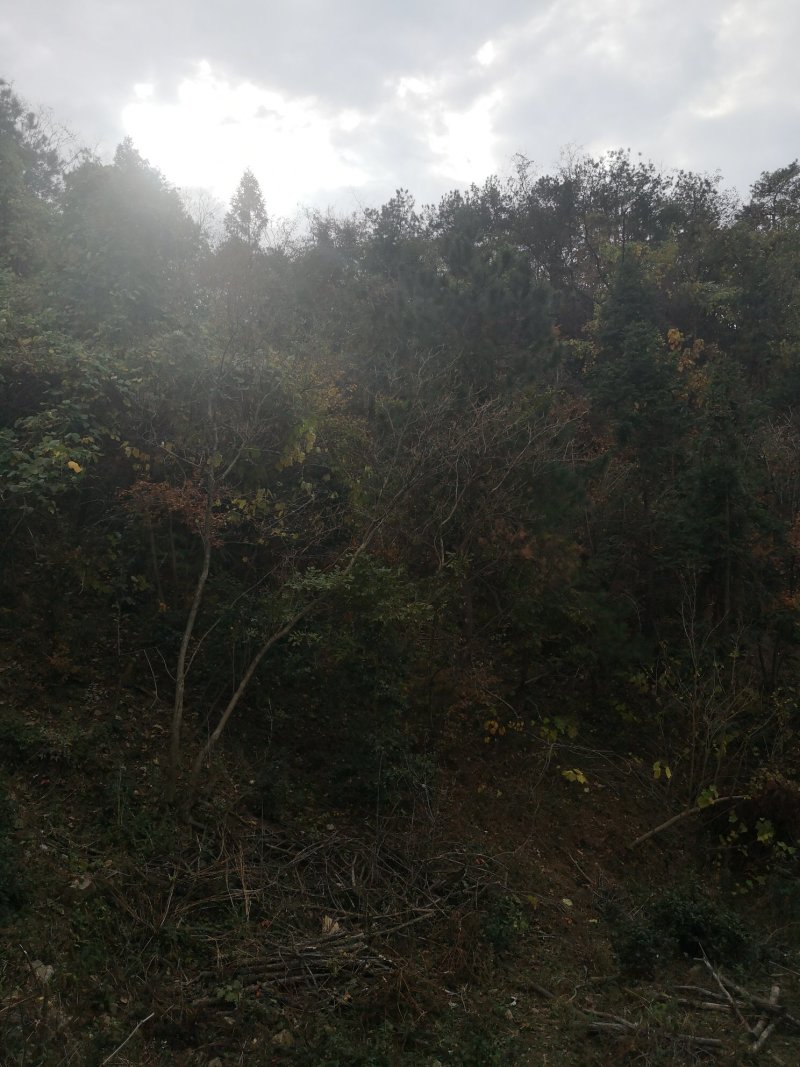 大别山深处!交通便利!