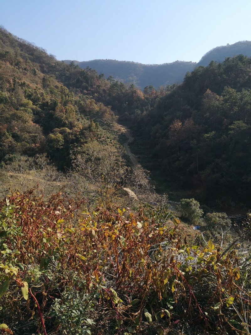 大别山深处!交通便利!