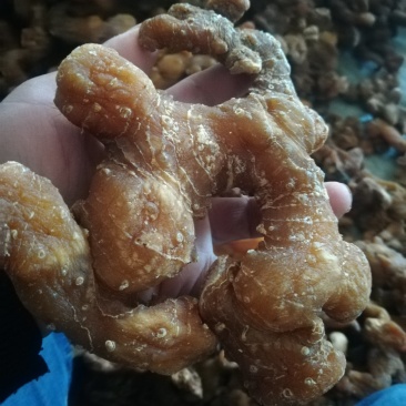 黄精，鸡头精，多花黄精，，，甜小统个/中统/大选/特选