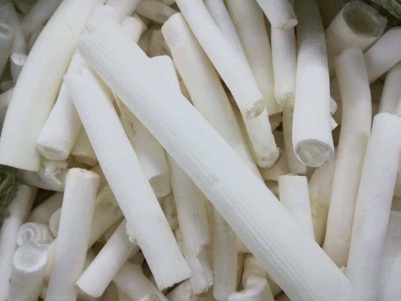 通草/木通，空心木，大通货量大质量好价格优对接全
