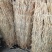 稻草草绳防寒保暖大小树苗包装土球，使用方便经济实惠环保