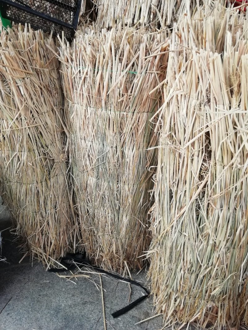 稻草草绳防寒保暖大小树苗包装土球，使用方便经济实惠环保