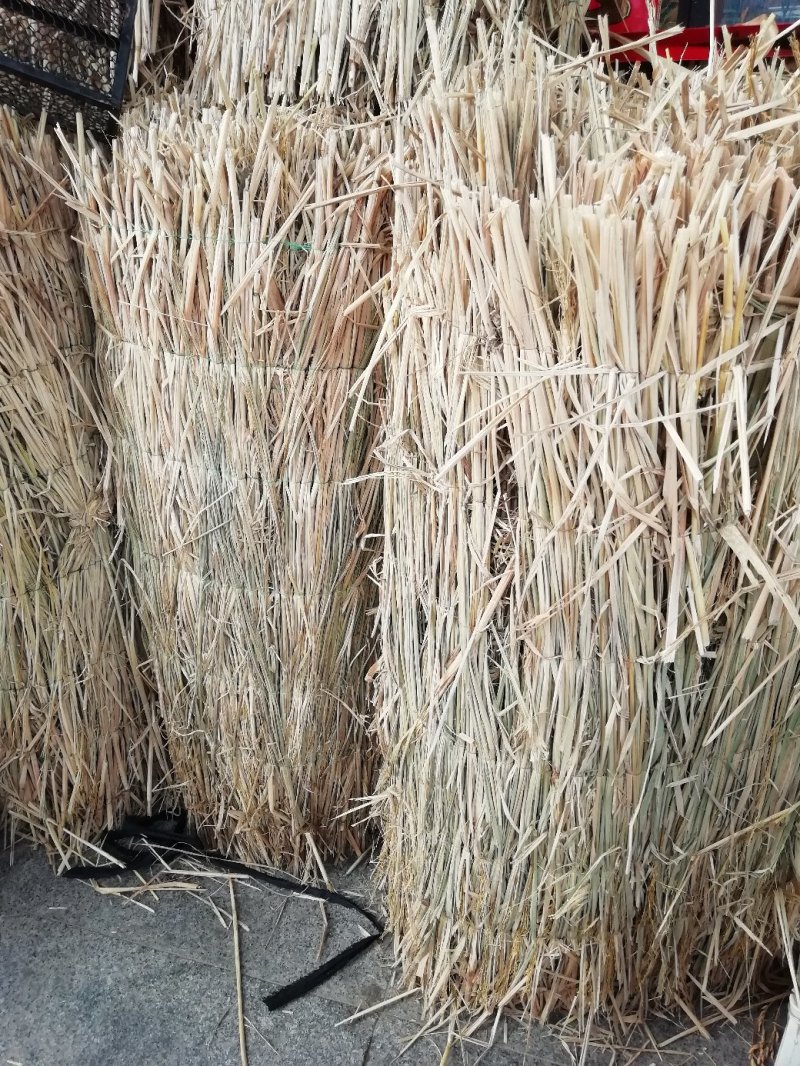 稻草草绳防寒保暖大小树苗包装土球，使用方便经济实惠环保