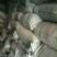 槐米千余品种供应承接订单