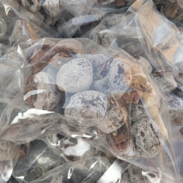 白霜柿饼