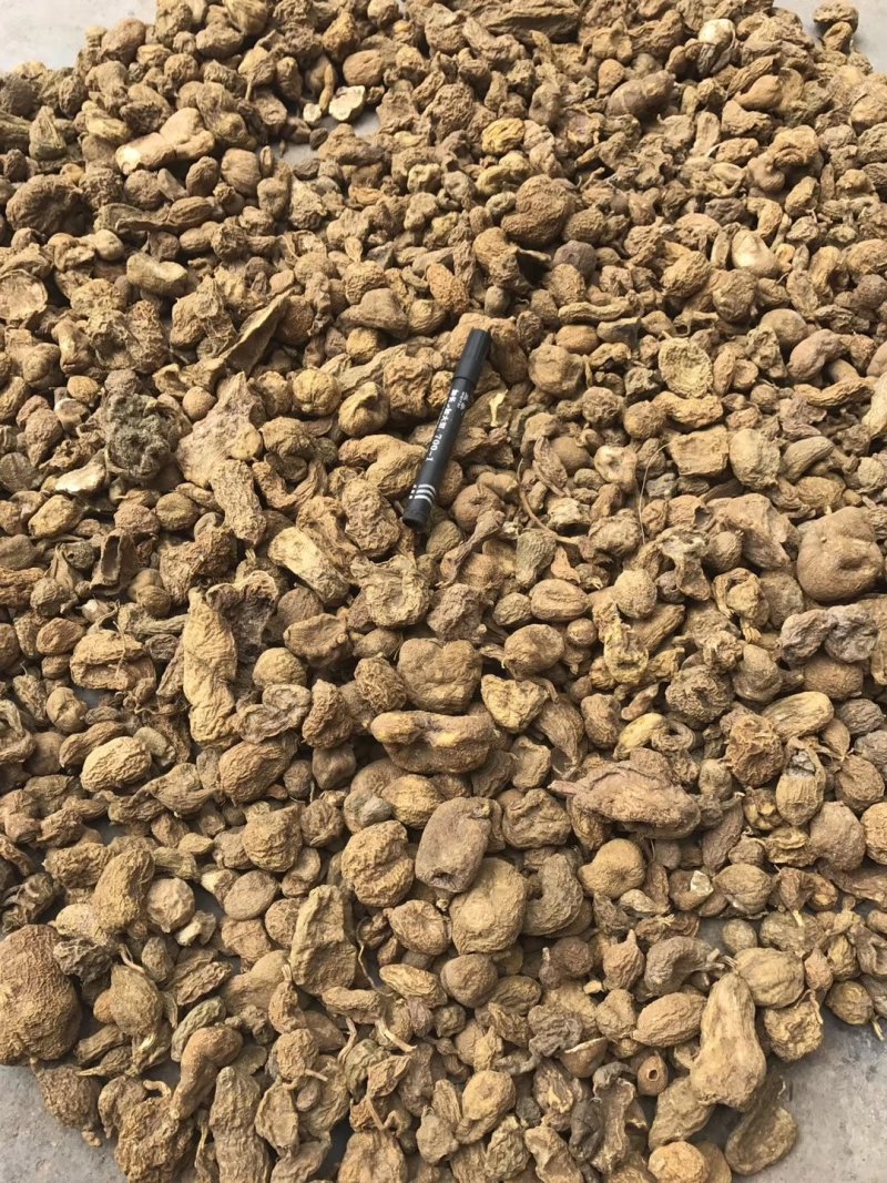 金果榄/青牛胆，地胆，金线吊葫芦，，，，，，