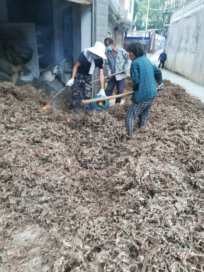 石菖蒲/菖蒲/石葱，干货，常年供应，批发优惠