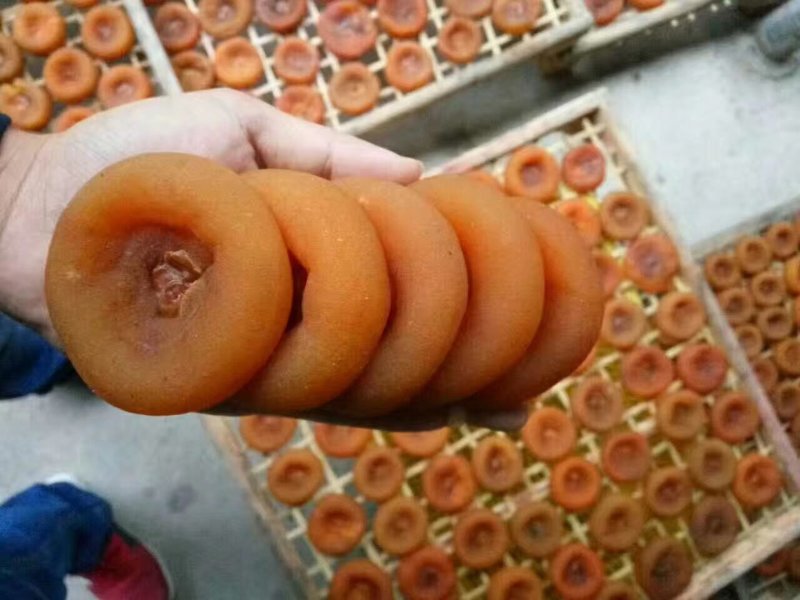 【年货节】广西桂林新鲜柿饼糖饼湿圆饼批发九成干靓饼