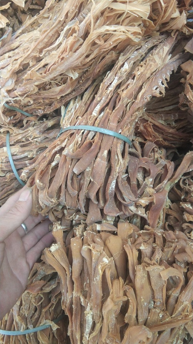 笋干笋花手撕笋英德麻竹笋闷肉打火锅