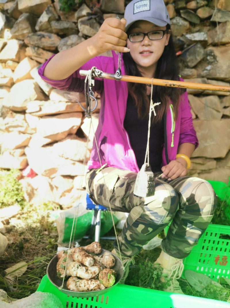 香格里拉松茸干片自烤自销产地直供包邮