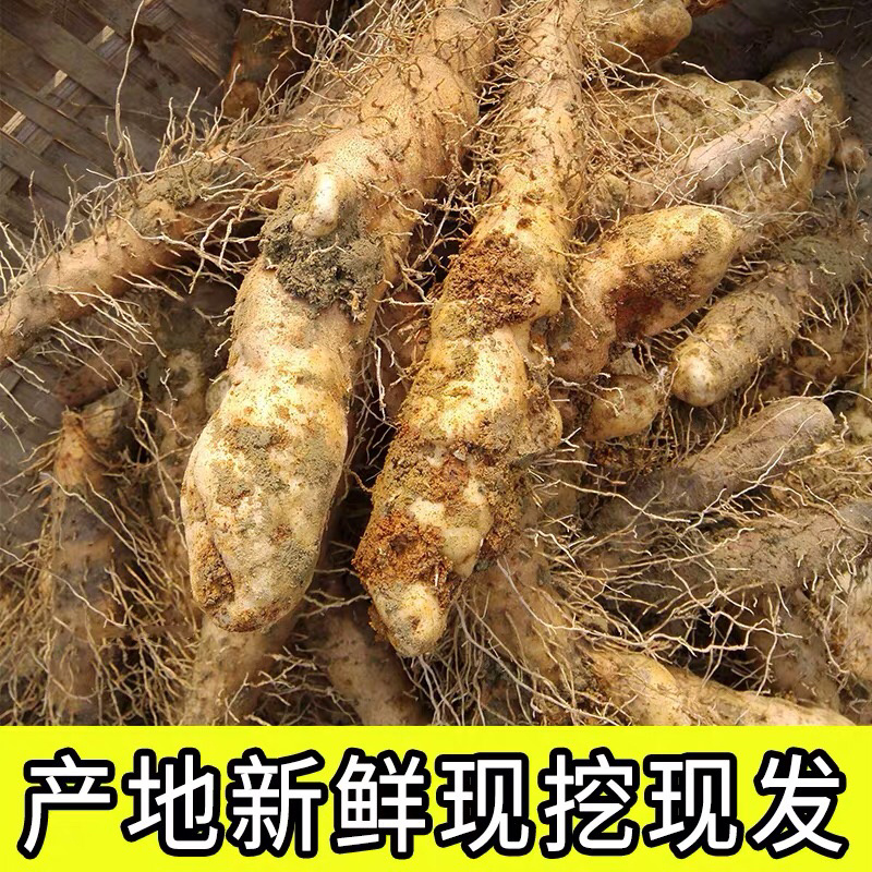 推荐一次就爱上的那种。绵绵糯糯的含有丰富的植物蛋白。