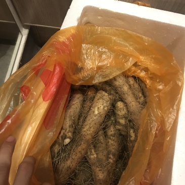 推荐一次就爱上的那种。绵绵糯糯的含有丰富的植物蛋白。