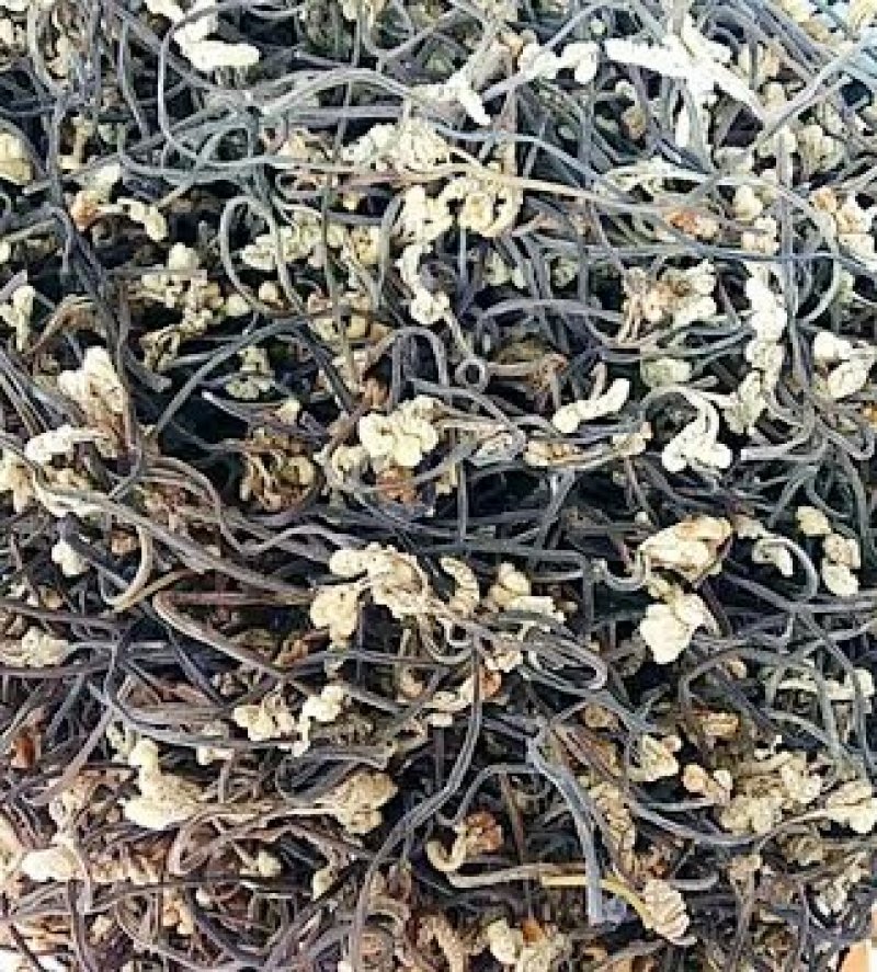 蕨菜干，天然优质干蕨菜农家采摘大山里的美味，龙爪菜，，