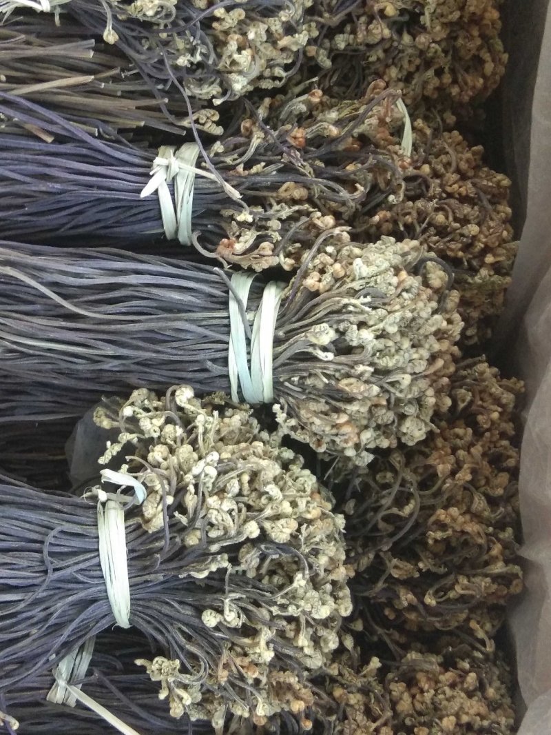 蕨菜干，天然优质干蕨菜农家采摘大山里的美味，龙爪菜，，