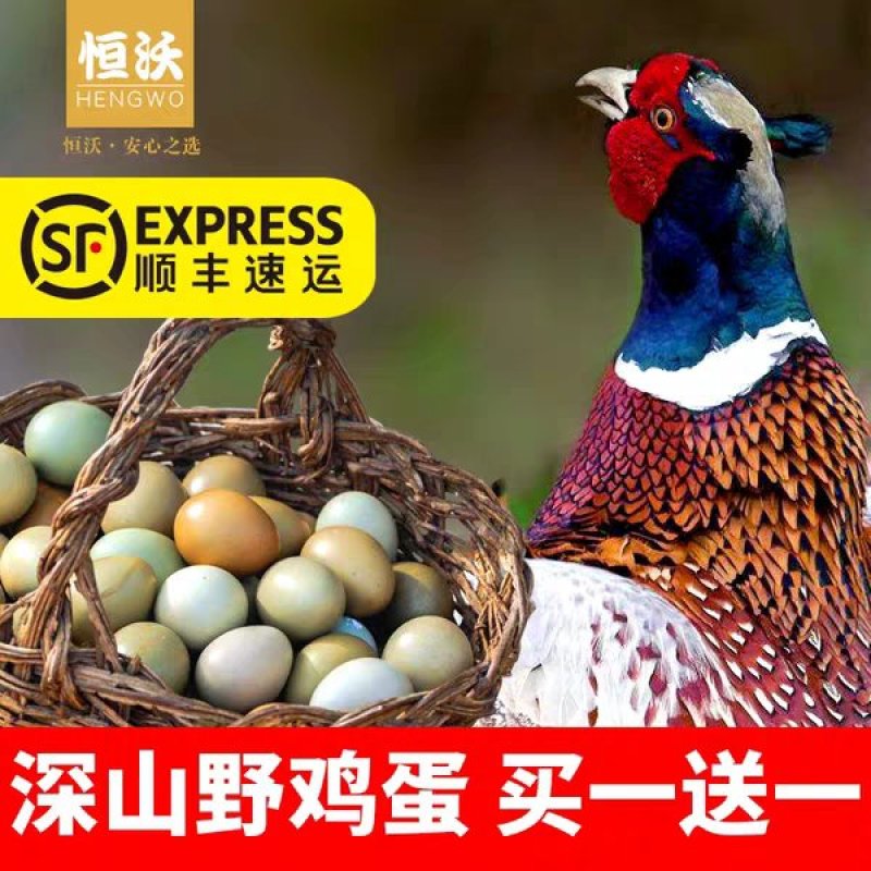 【实力诚信商家】山鸡蛋专业养殖批发破损保陪量大从优