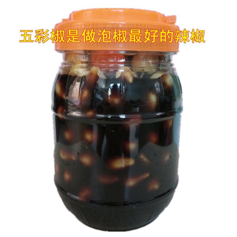 基地直供湖南高优七彩椒苗，泡椒苗，常年接受预定及代育等。