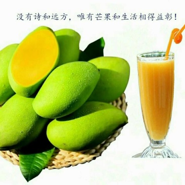 现货大青芒基地直发，皮薄肉厚，果肉细腻，一件代发！