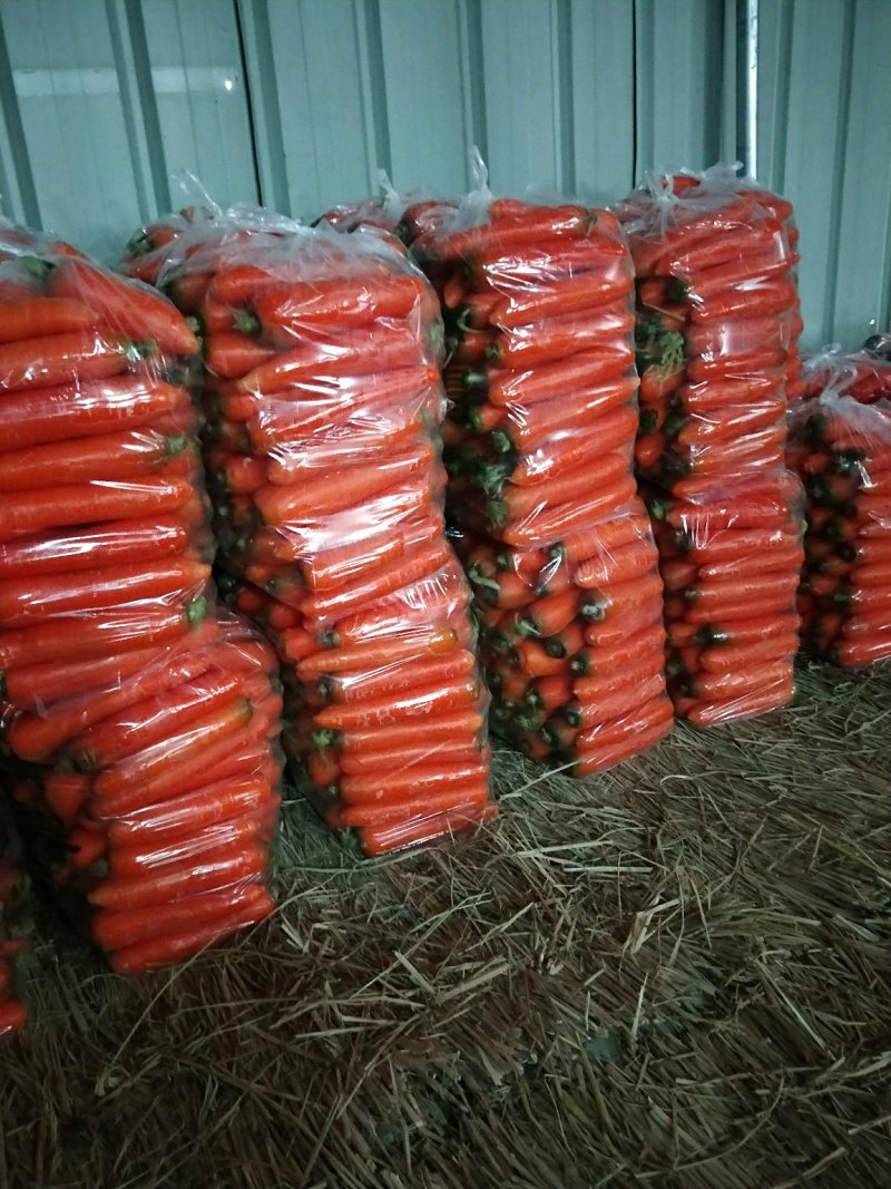 三红胡萝卜中条小条大头精品各种规格货源充足