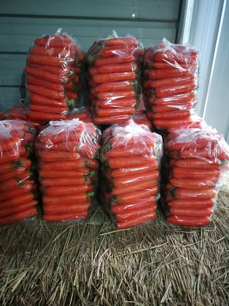 三红胡萝卜中条小条大头精品各种规格货源充足