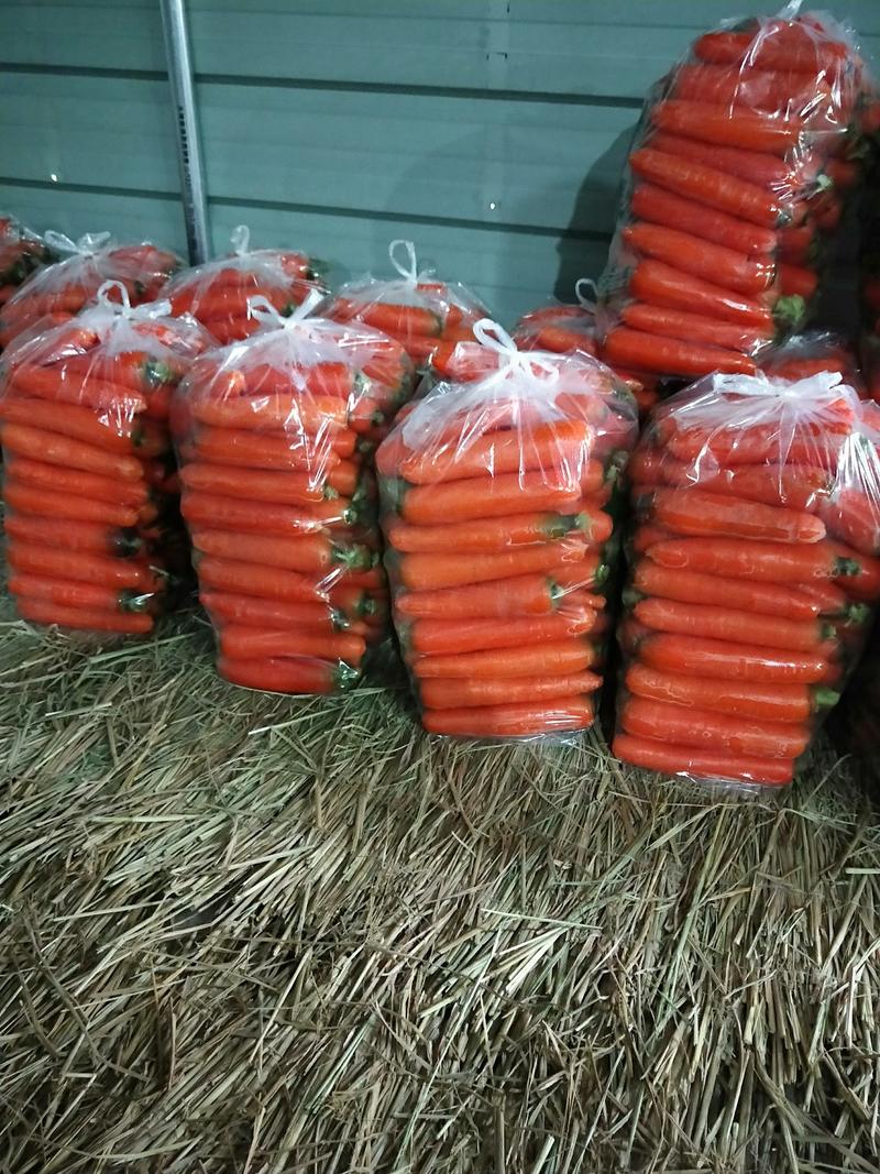 三红胡萝卜中条小条大头精品各种规格货源充足