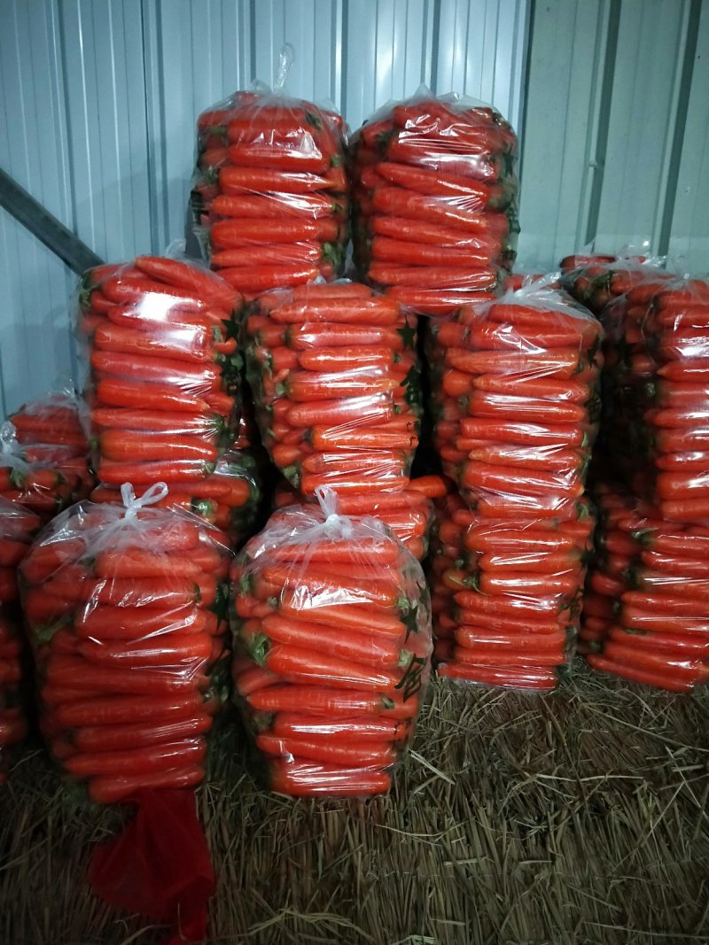 三红胡萝卜中条小条大头精品各种规格货源充足