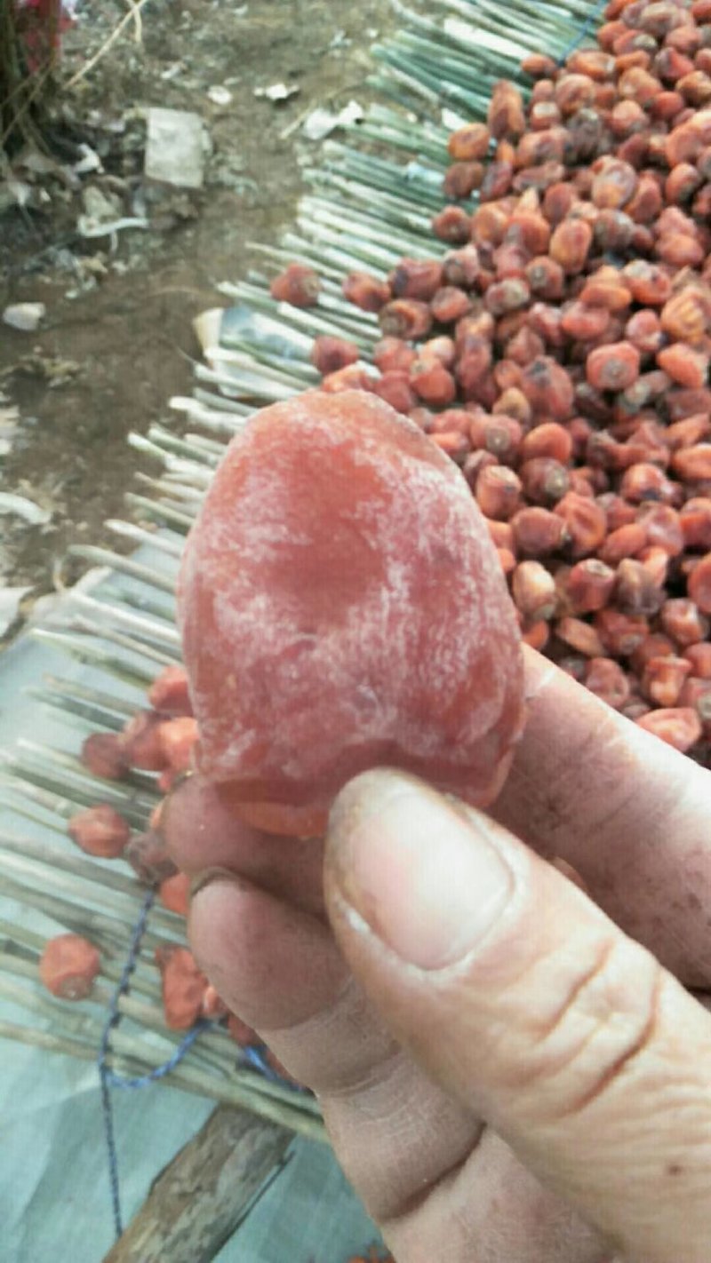 坚果