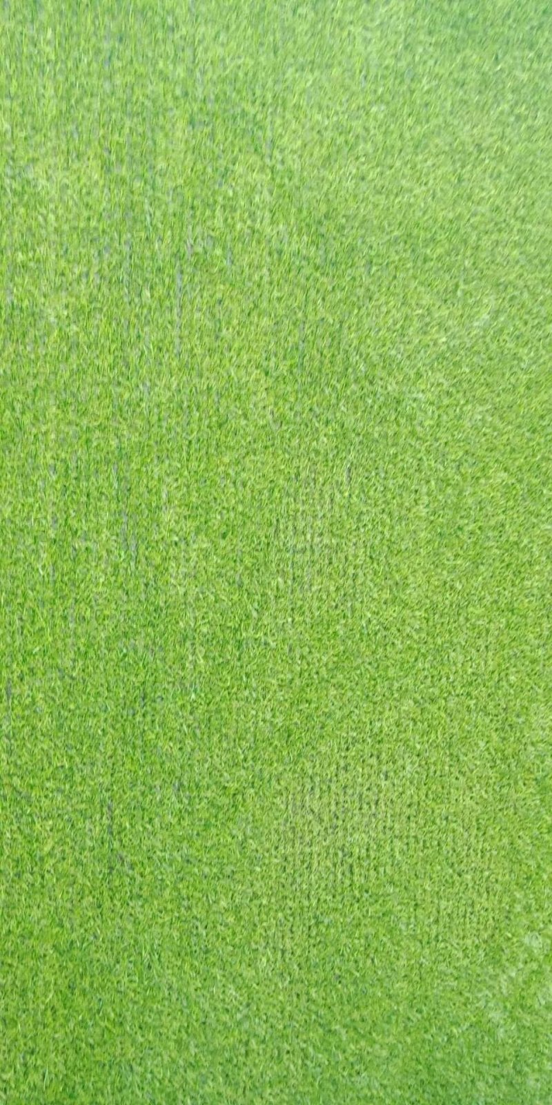 围挡草坪绿化工程草坪1.01.5公分草高无胶仿真草坪