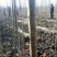 107杨树苗速生白杨树苗500亩基地直供规格齐全