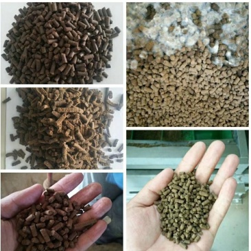 山东潍坊发酵豆粕微生物菌肥（四菌合一，三级发酵）