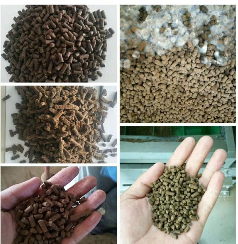 山东潍坊发酵豆粕微生物菌肥（四菌合一，三级发酵）
