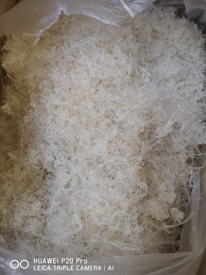 雪燕