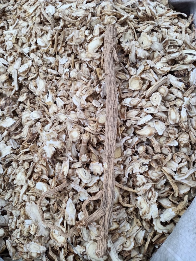 防风、北防风、野生防风、防风个子等防风产品