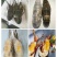 冰冻小青龙虾大量批发价格优惠