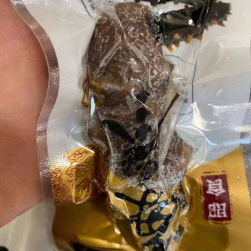 海参