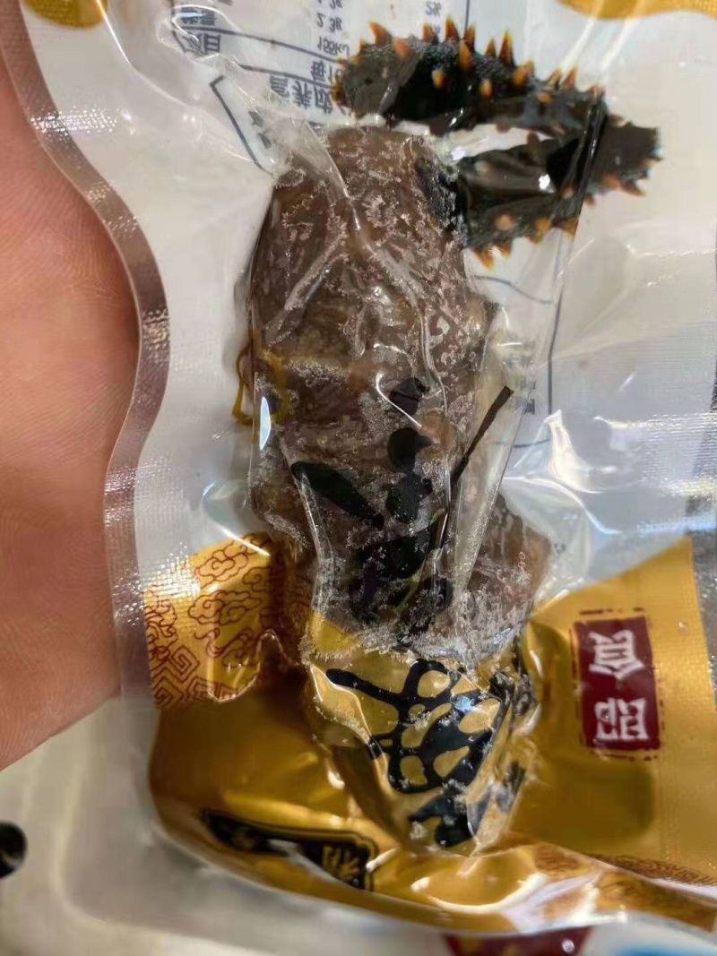 海参